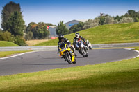 Lower Group Yellow Bikes